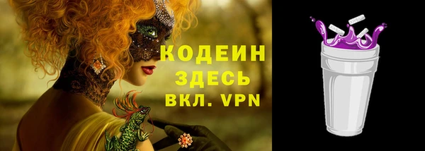 прущий лед Няндома