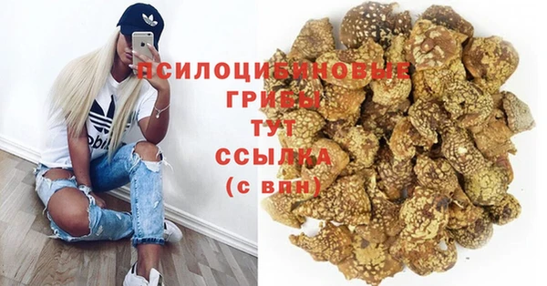 прущий лед Няндома