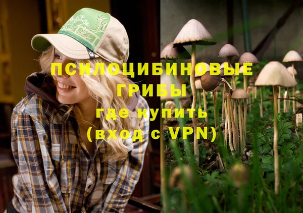 а пвп мука Осташков