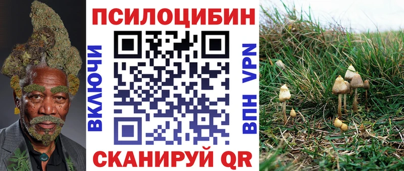 Псилоцибиновые грибы Magic Shrooms  Собинка 
